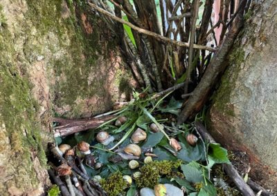 PHOTO-2026-03-08-21-58-38