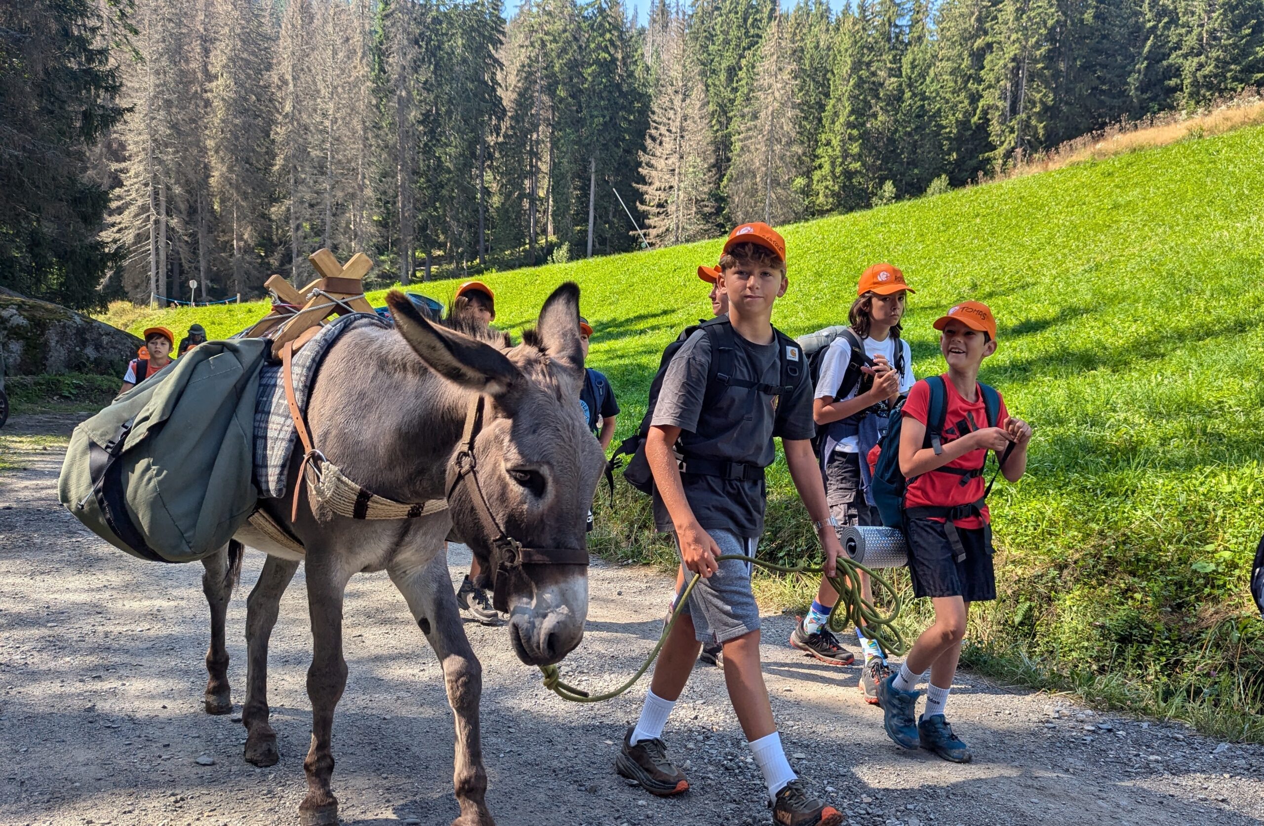 Enfants avec chien en montagne