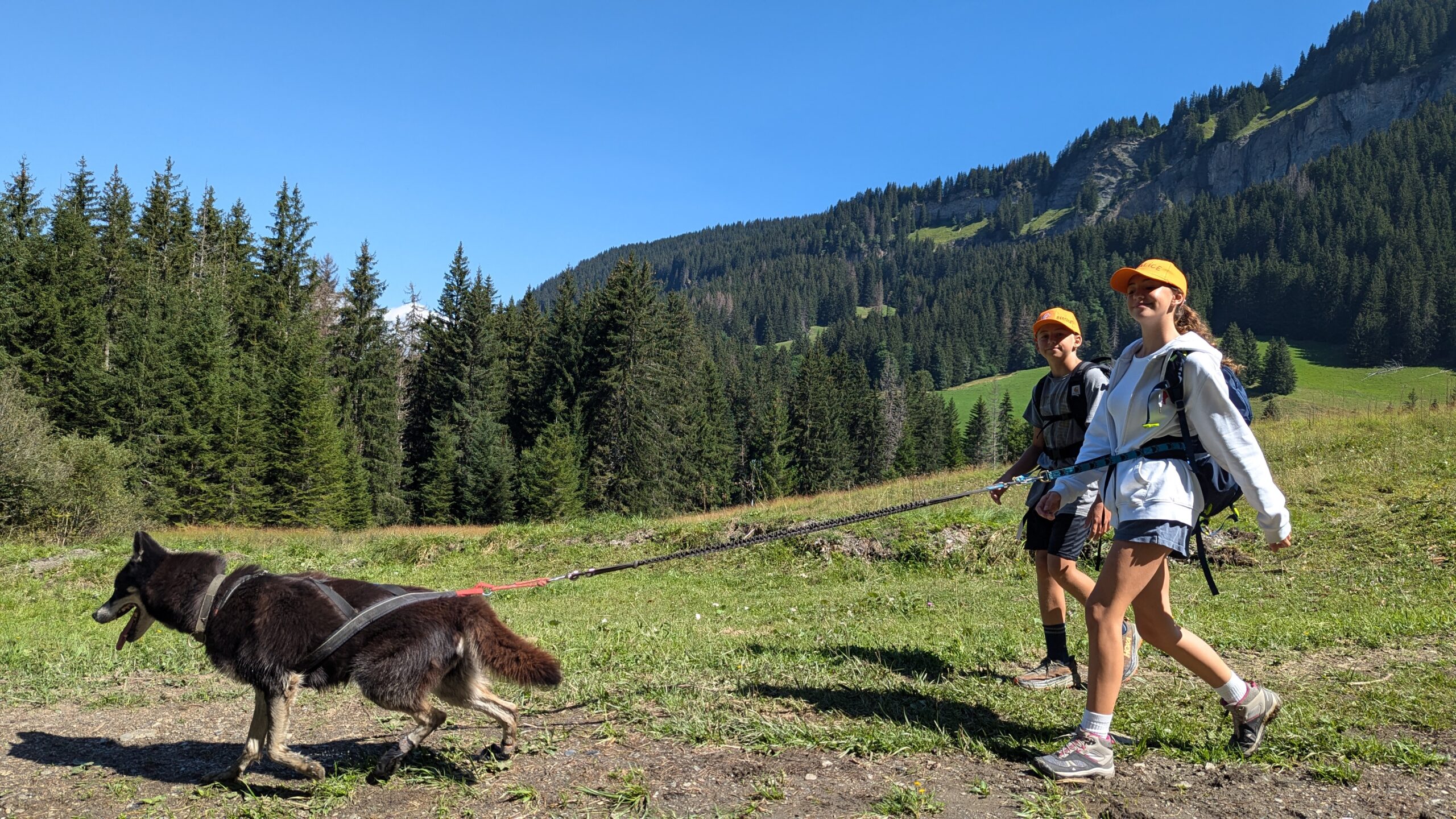 Chamois - moment de stage