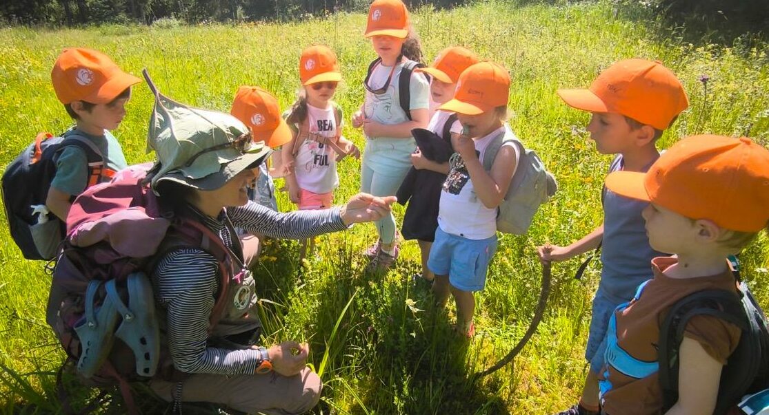 Groupe Marmottes - stage enfant 4 à 6 ans à Megève