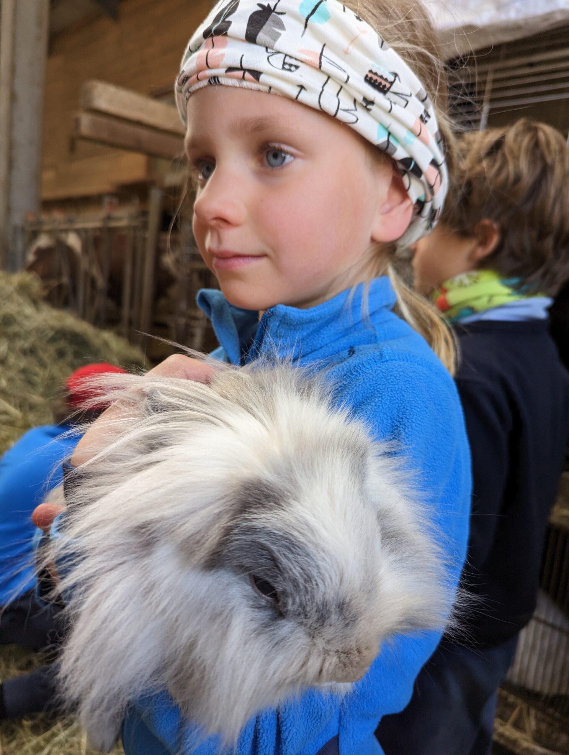 Une enfant découvre un lapin à la ferme