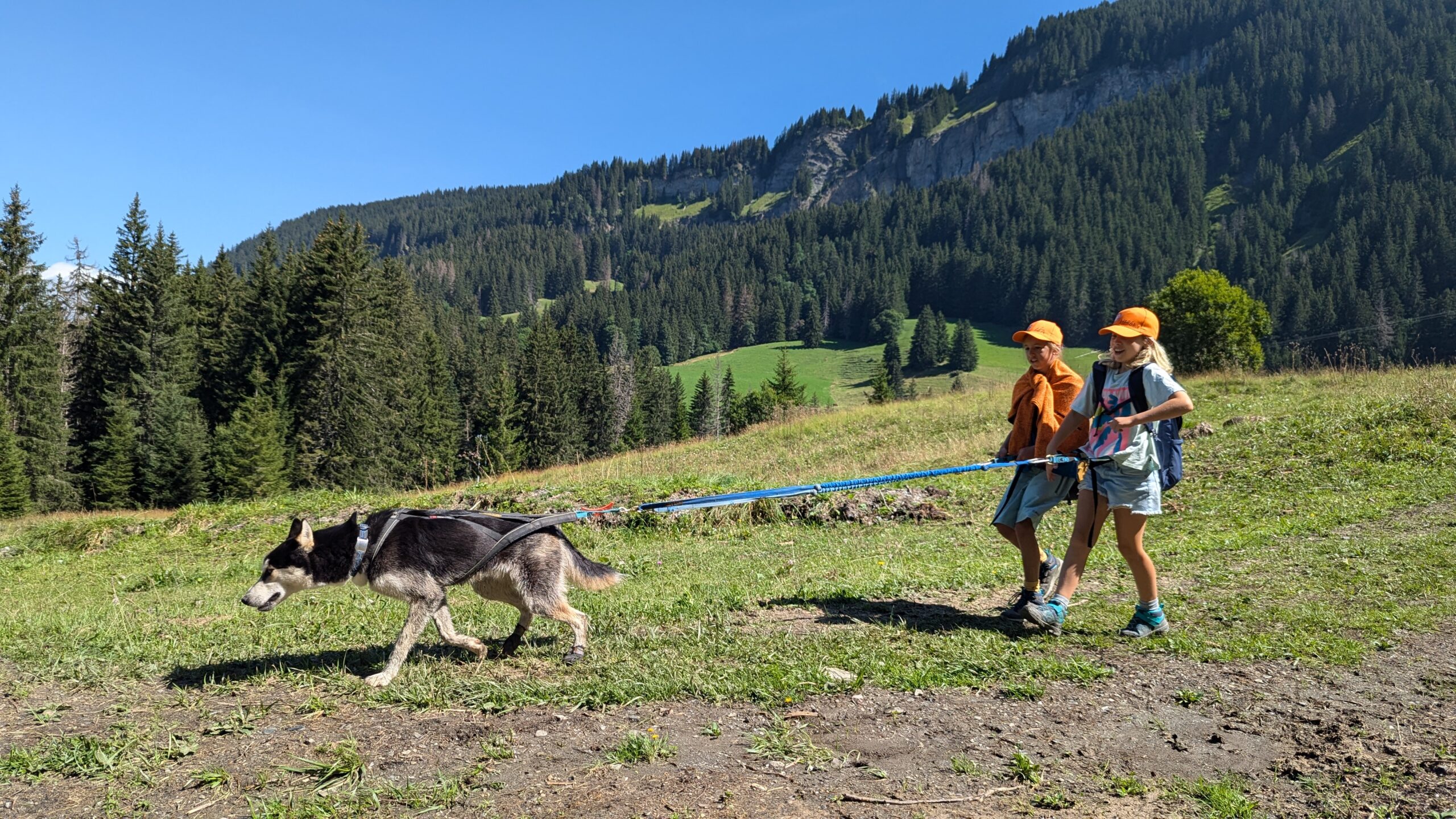 Deux enfants marchent avec un chien en montagne